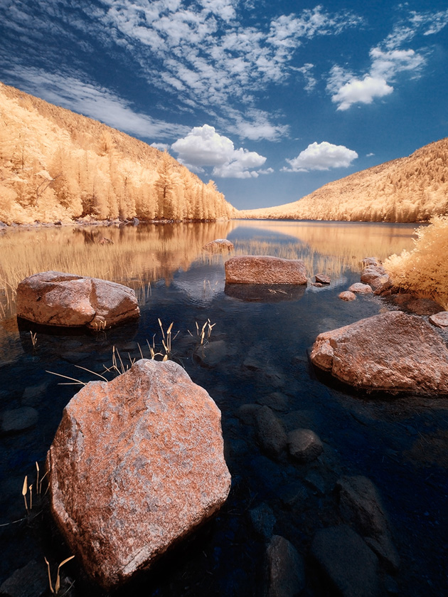18-MikeNewman-IR-False-Color