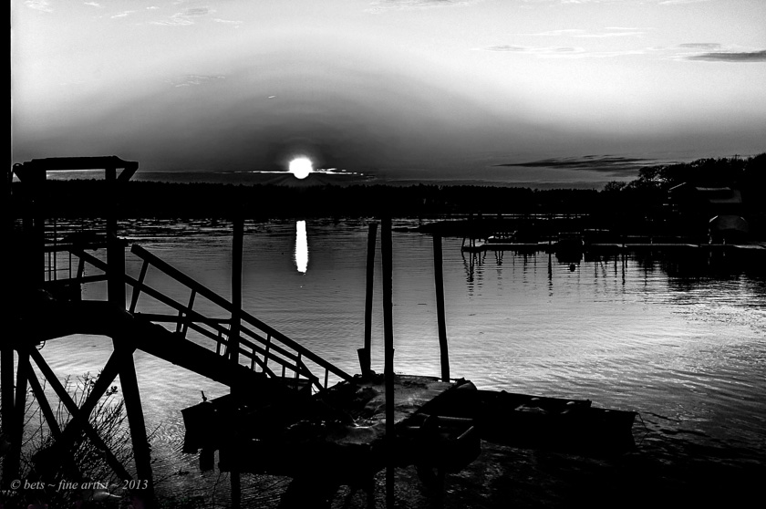 20-bfoster-just-until-its-gone-8819-bw