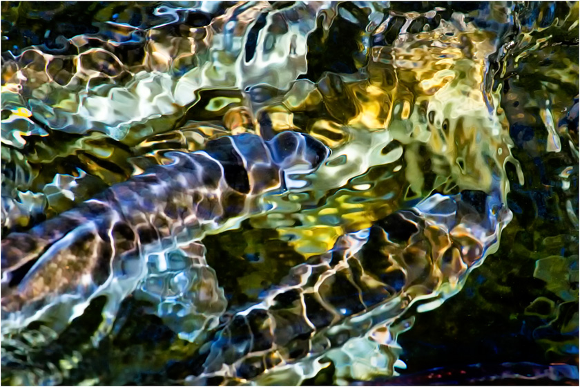 03-Rob-Smith-A-Alewives-Illusion