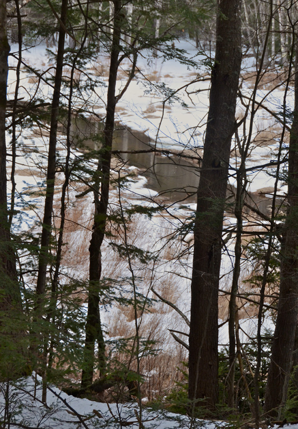 06-WalterBuczacz-B-Stackpole-Creek1