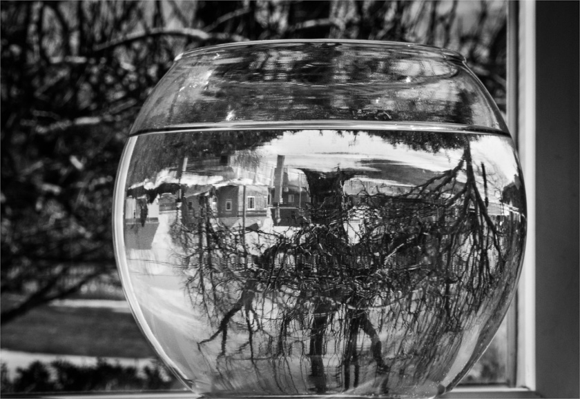 11-LeslieInman-B-Water-Obscura