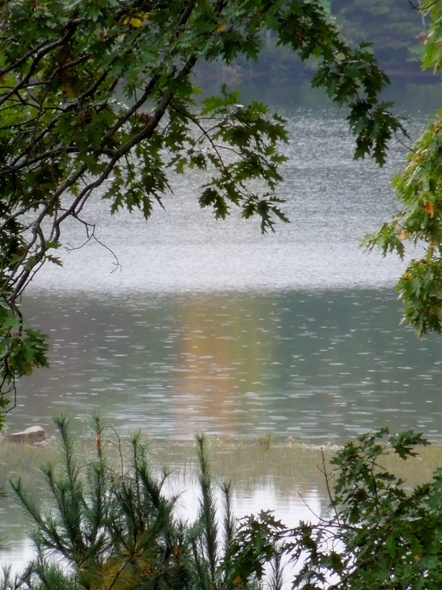 22-VinnyNigl-B-Raindrops