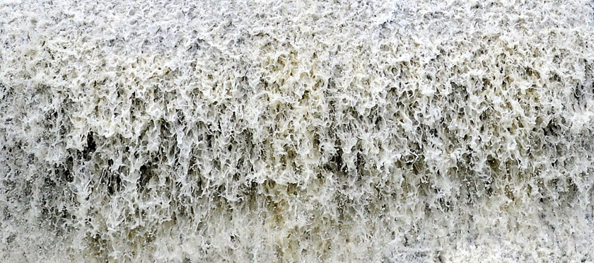23-BistraNikiforova-B-Natures-Jackson-Pollock