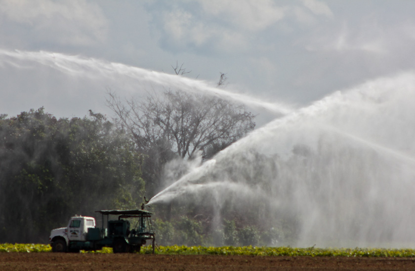 45-davekirkwood-A-Water-Cannons