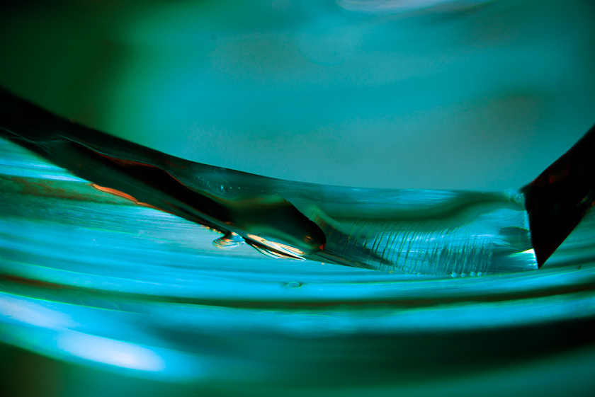 46-Steve-Thomas-Liquid-in-broken-glass-bowl