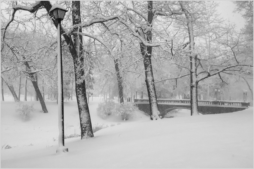 11-p-davis-deering-oaks-no2