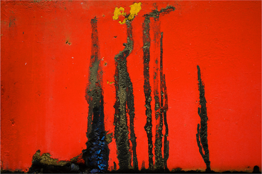 21-Rick-Plummer-FallFoliage