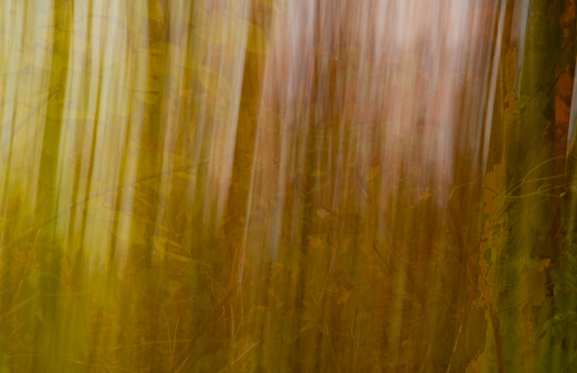 05-C-MalcolmWilliams-A-Fall's-Veil
