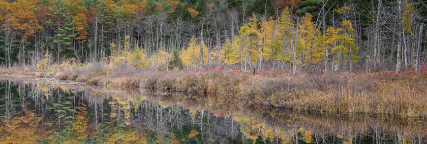 11-AlSpencer-A-Holt-Pond