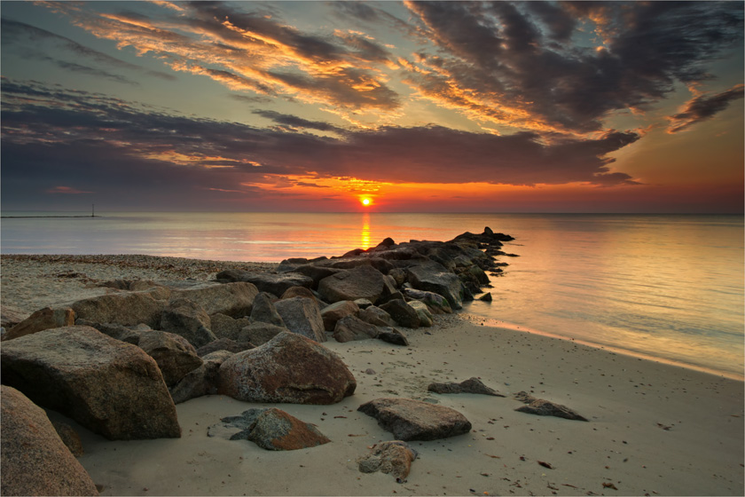 32-darylannleonard-A-Sunrise-on-the-vineyard
