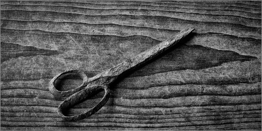 42-A_SandraWescott_Scissors