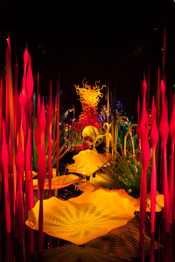 16-BennyTripp-B-Glass-Garden