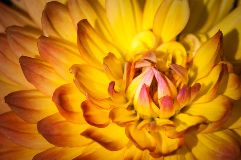 26-Dick-Sawyer-B-Inside-Natures-Beauty