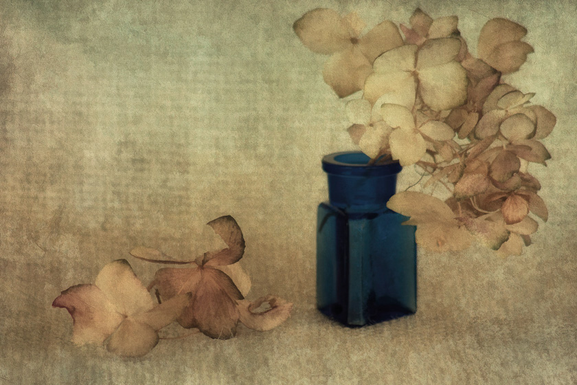 27-sandra_Wescott_A_little-blue