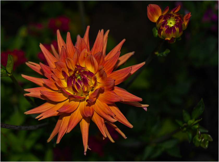 54-FredHeimann-B-Touched-by-the-sun