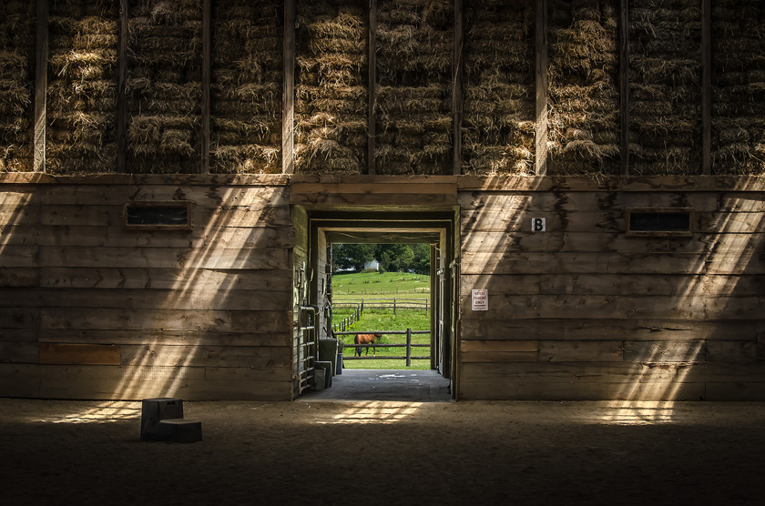 08-carol-liscovitz-b-sun-streaked-barn-
