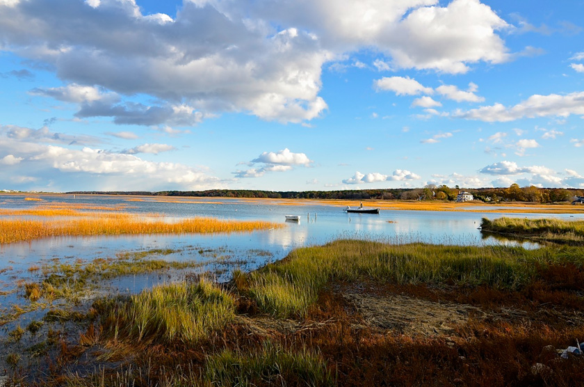 55-maryannhindle-b-cape-cod-autumn