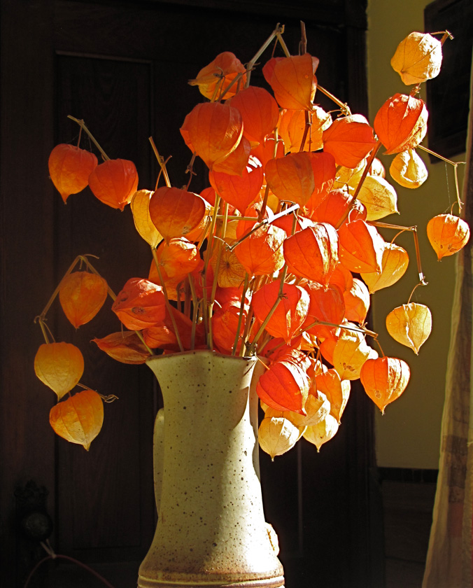 1202--12-Geo-Sgt-orange lanturns