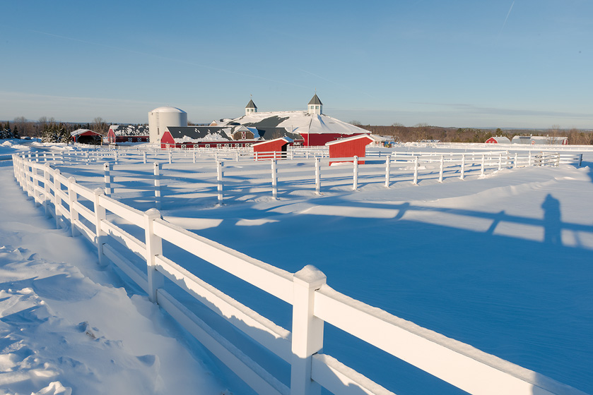 203--02-rick-thompson-frozen-fences
