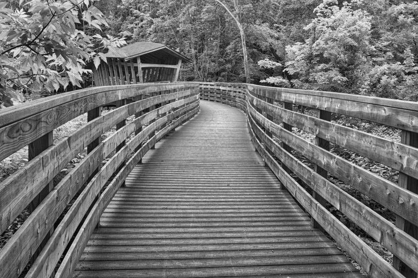 01-Sandra_Wescott_BobDunningMemorialBridge_A