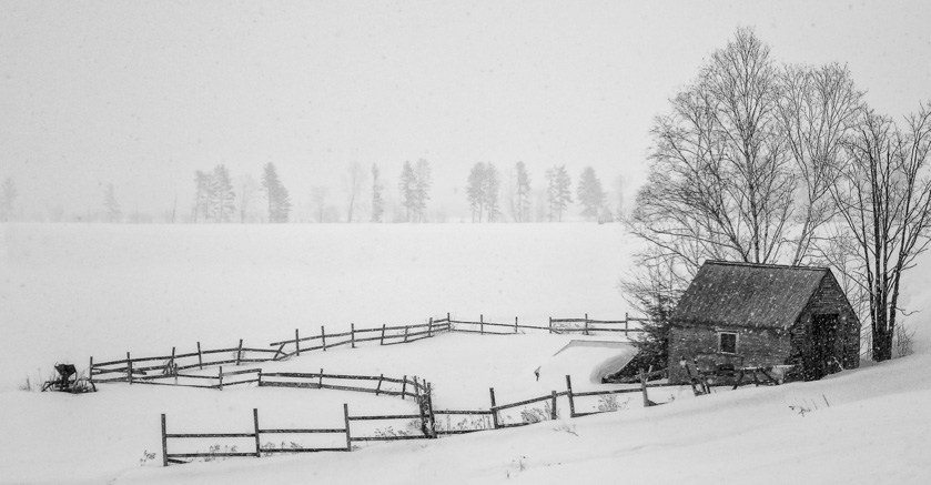 11-AlSpencer-A-Forlorn-in-Fryeburg