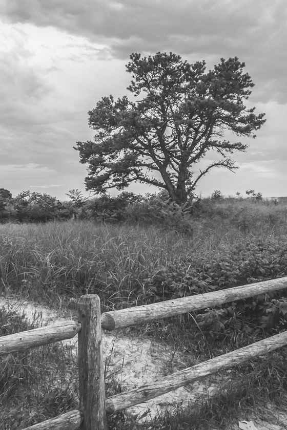 45-SammStewart-B-The-shortcut