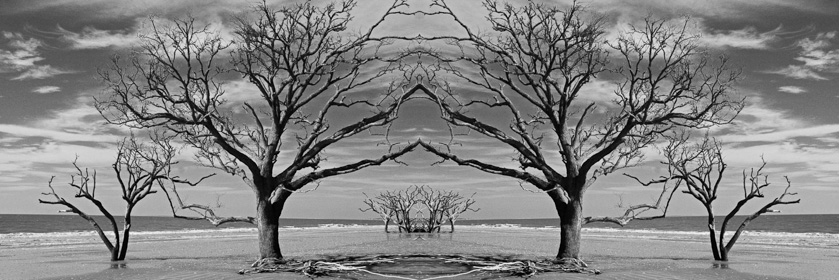 57-LeslieInman-A-Dancing_Trees