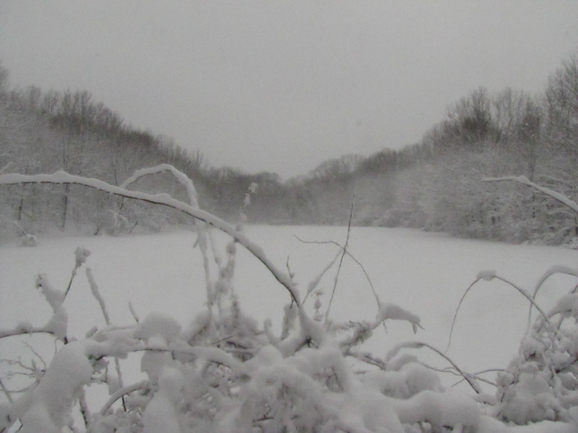 65-sharon-andrews-b-quiet-snow
