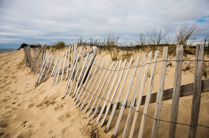 17-Maryann-Hindle-B-The-Dunes-At-Herring-Cove