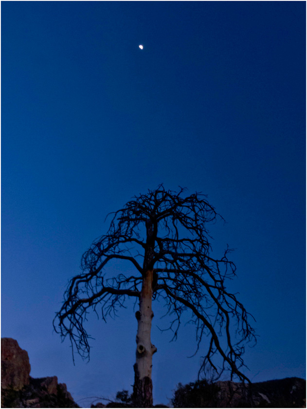 48-lilakirkwood_A_Reaching_for_the_Moon