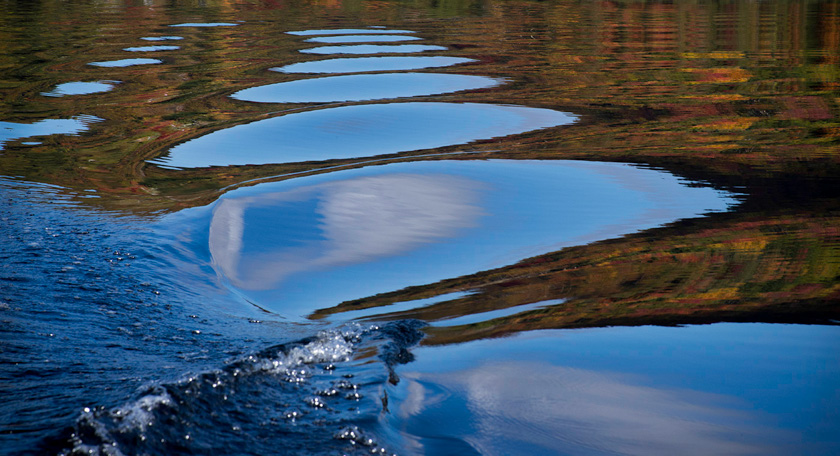 01-SteveThomas-B-Wake