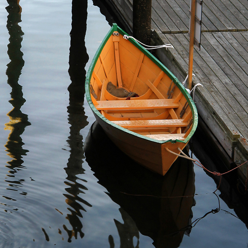 01-Susan-Downing-B-Dory