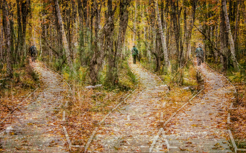 55-Carol-Liscovitz-A-Path-Less-Traveled