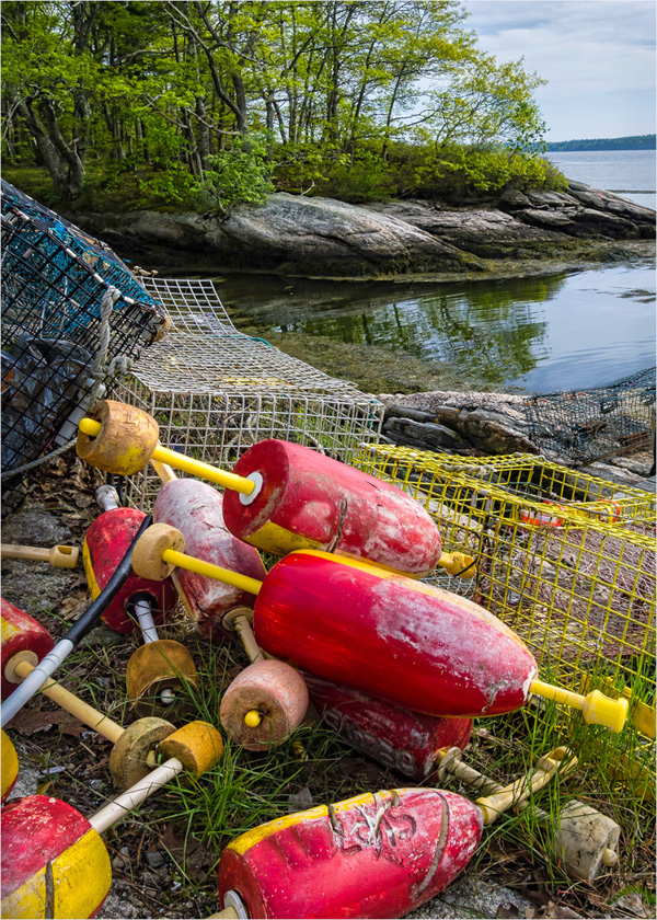 16-John-Bald-A-The-Shore