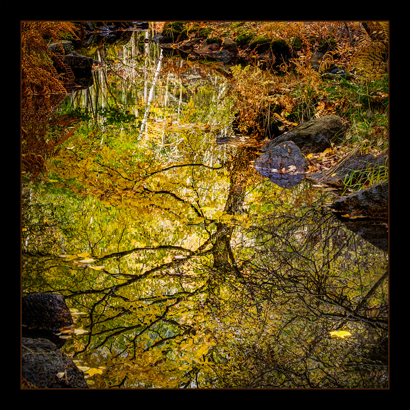 27-Carol-Liscovitz-B-Sieur-de-Monts-Reflections