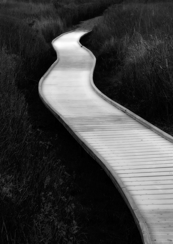 29-SusanDowning-B-Light-Frost