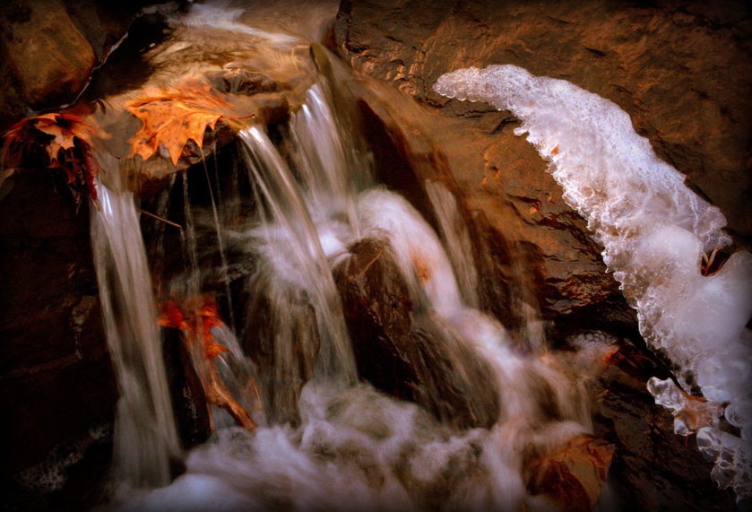 32-ElizabethBenz-B-Autumn-Leaves-Fall-Upon-Us