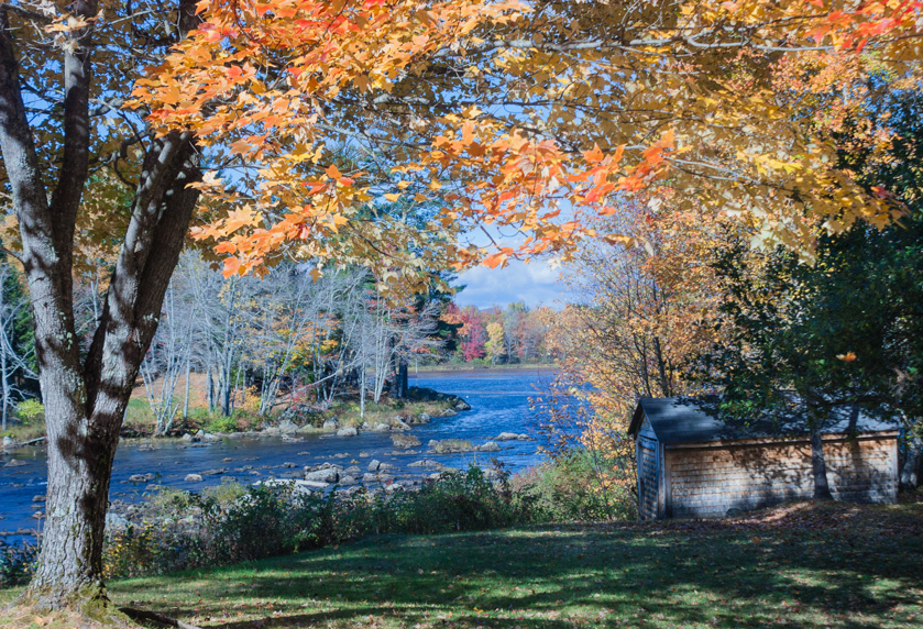 34-FrancescaGalluccio-Steele-B-MaineHideAway