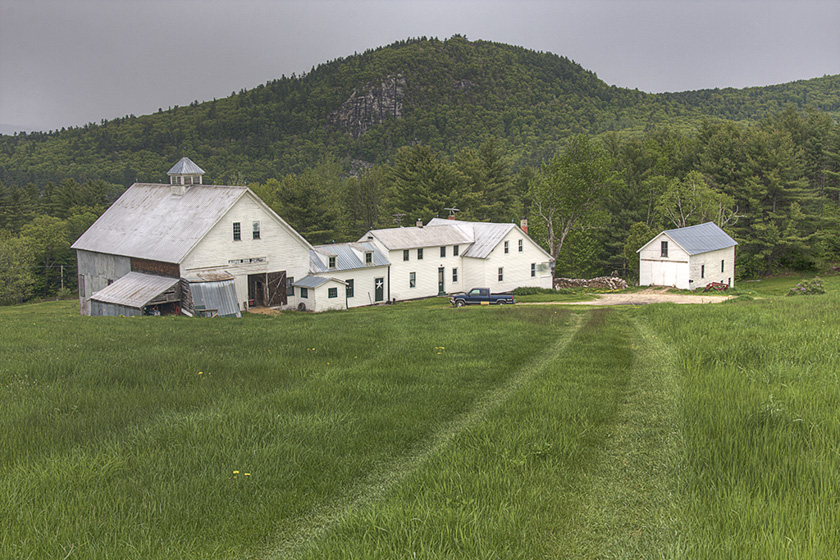 46-Wescott-Sandra-A-Homestead-