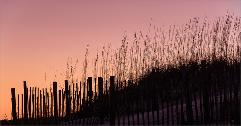 Ella_Hudson_A_Southern_Color