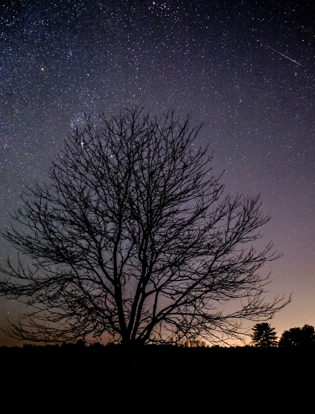 LindaAlschuler-B-Geminid-Meteor
