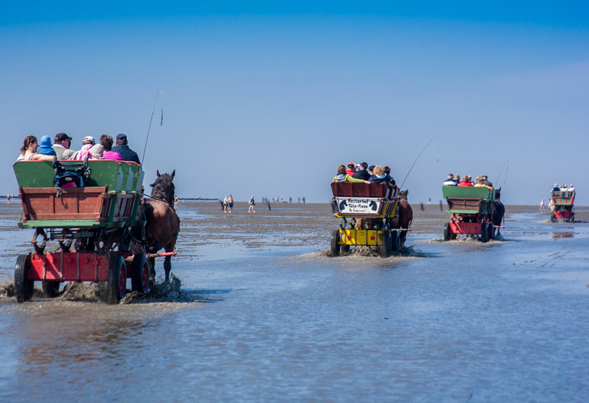 Paul VanDerWerf-B-Low Tide In Cuxhaven Germany-1