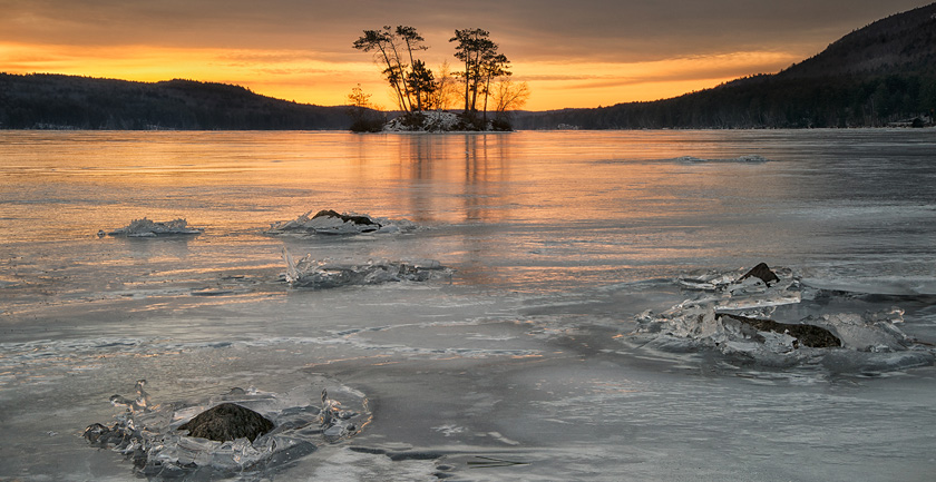 04-DarylannLeonard-A-Moose-Pond-Silhouette