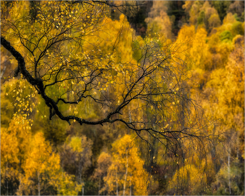 32-Knapp_Hudson_A_Highland-Fall