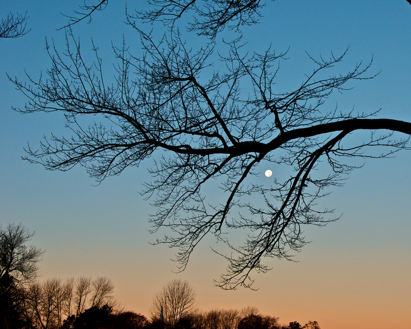 43-WalterBuczacz-B-Moonset-at-Sunrise