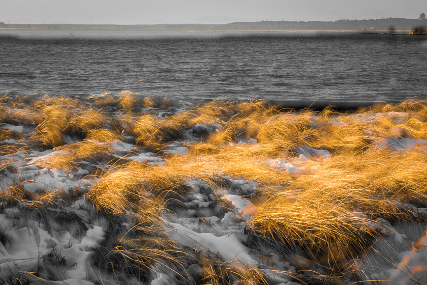 60-Dick-Sawyer-B-Wind-Swept-Beach