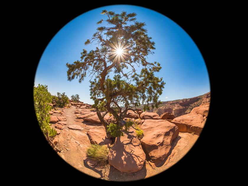 Mike_Leonard_A_into-the-sun
