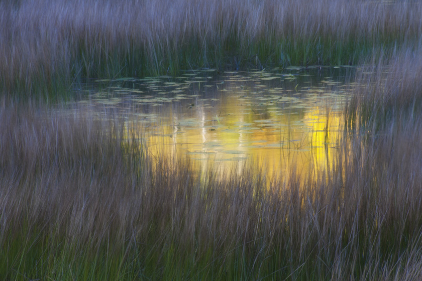 SandraWescott_The_Tarn_A