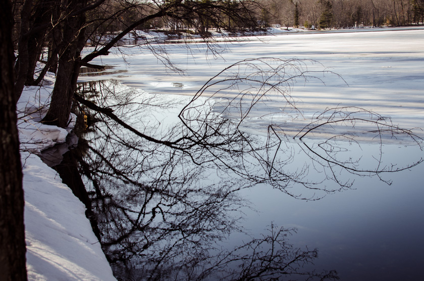 06-EmmaBennett-B-Tree-Reflection