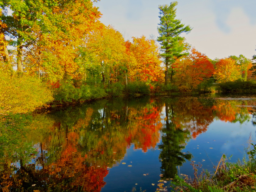 18-Mark-Ettinger-B-Smoldering-Reflection
